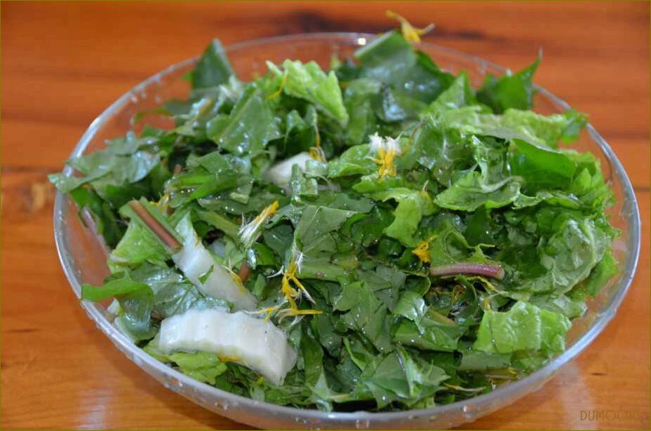 Салат из одуванчиков: вкусное и полезное блюдо