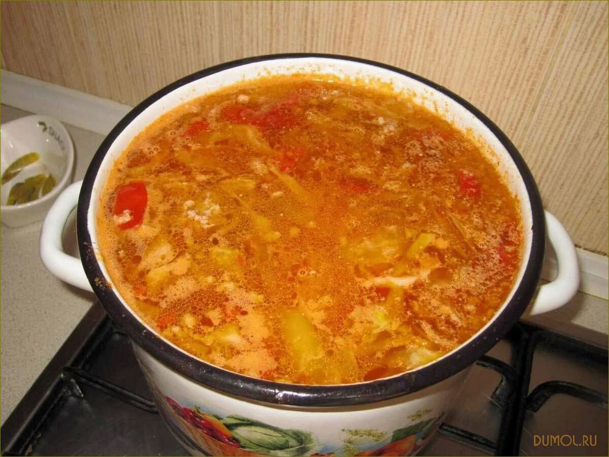 Чехословацкий суп с фаршем