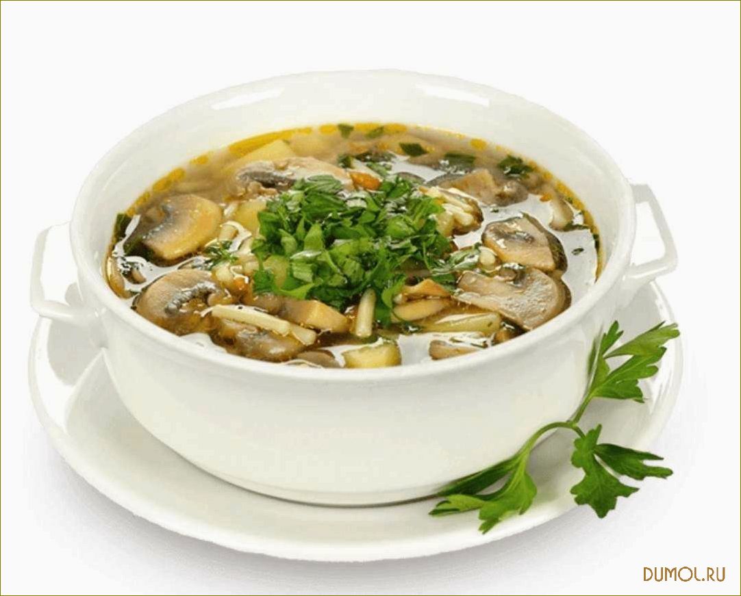 Суп из свежих белых грибов: рецепт и полезные свойства