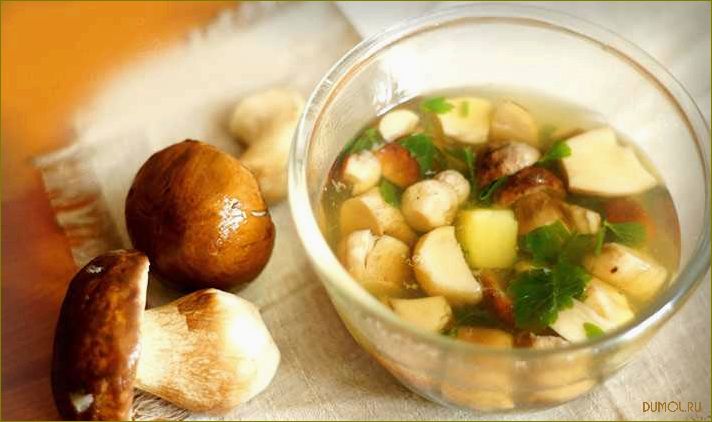 Суп из свежих белых грибов: рецепт и полезные свойства