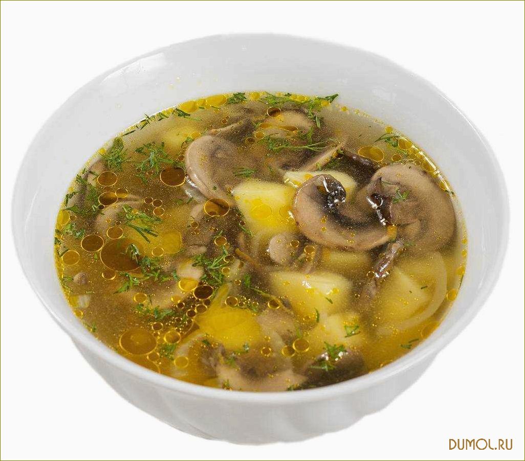 Рецепт грибного супа с шампиньонами