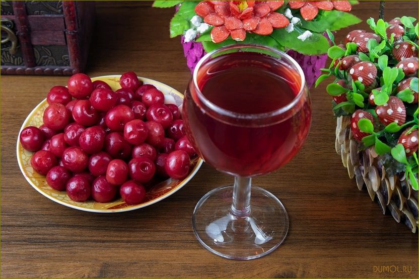 Домашнее вино из ягод: рецепты и советы