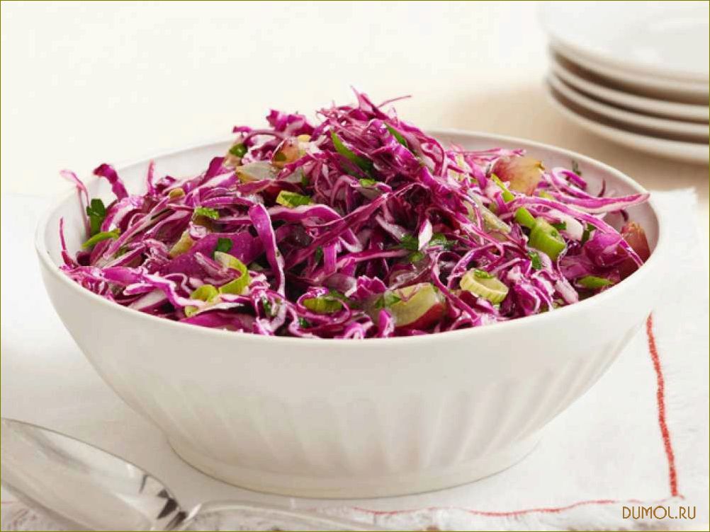 Салат из красной капусты: рецепты и полезные свойства