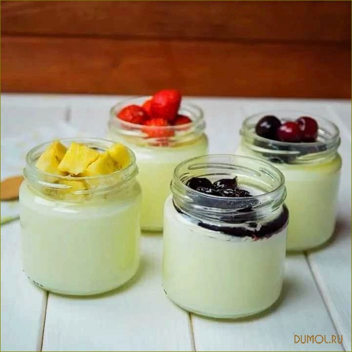 Йогурт с фруктами в йогуртнице