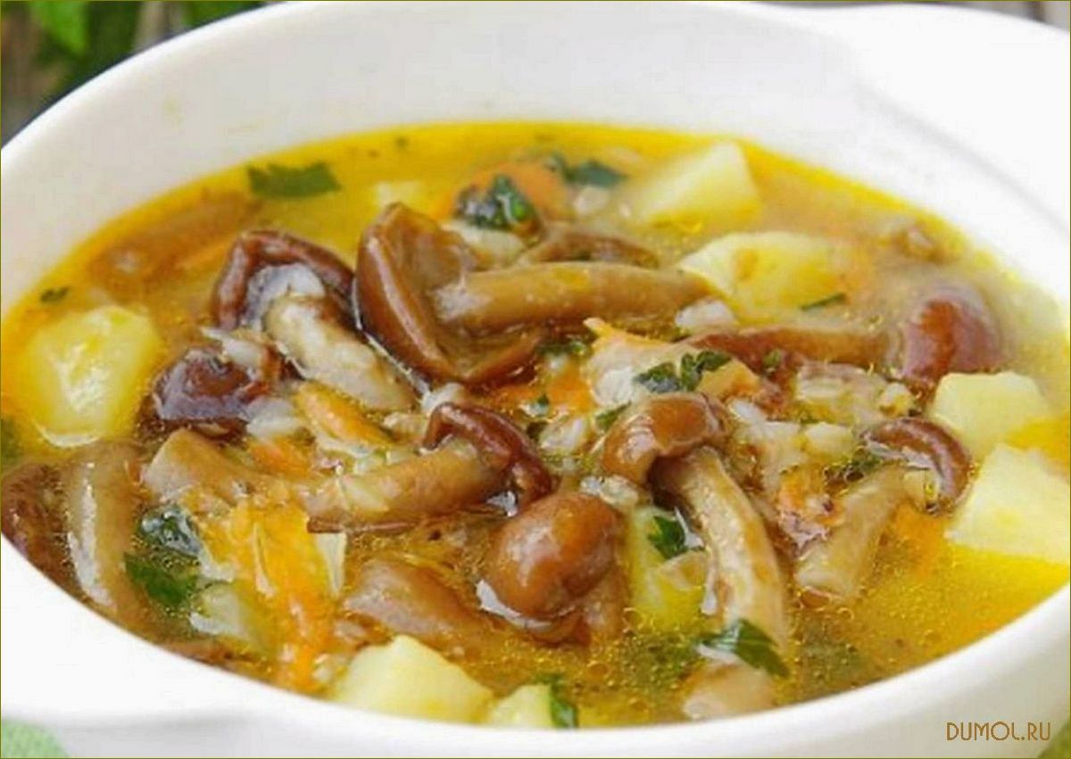 Суп с опятами: рецепты и полезные свойства