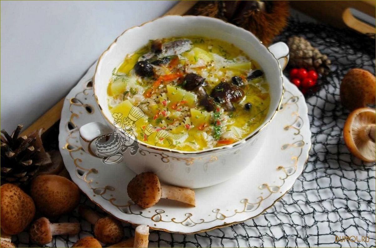 Суп с опятами: рецепты и полезные свойства