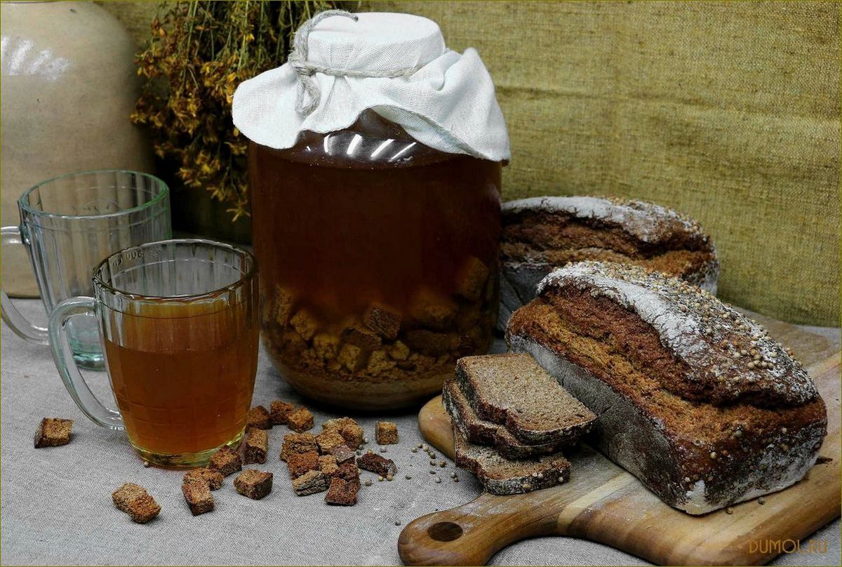 Квас из ржаного хлеба без дрожжей: рецепт и полезные свойства