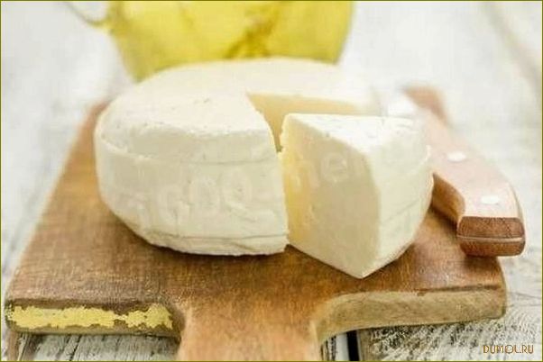 Домашний сыр с пепсином