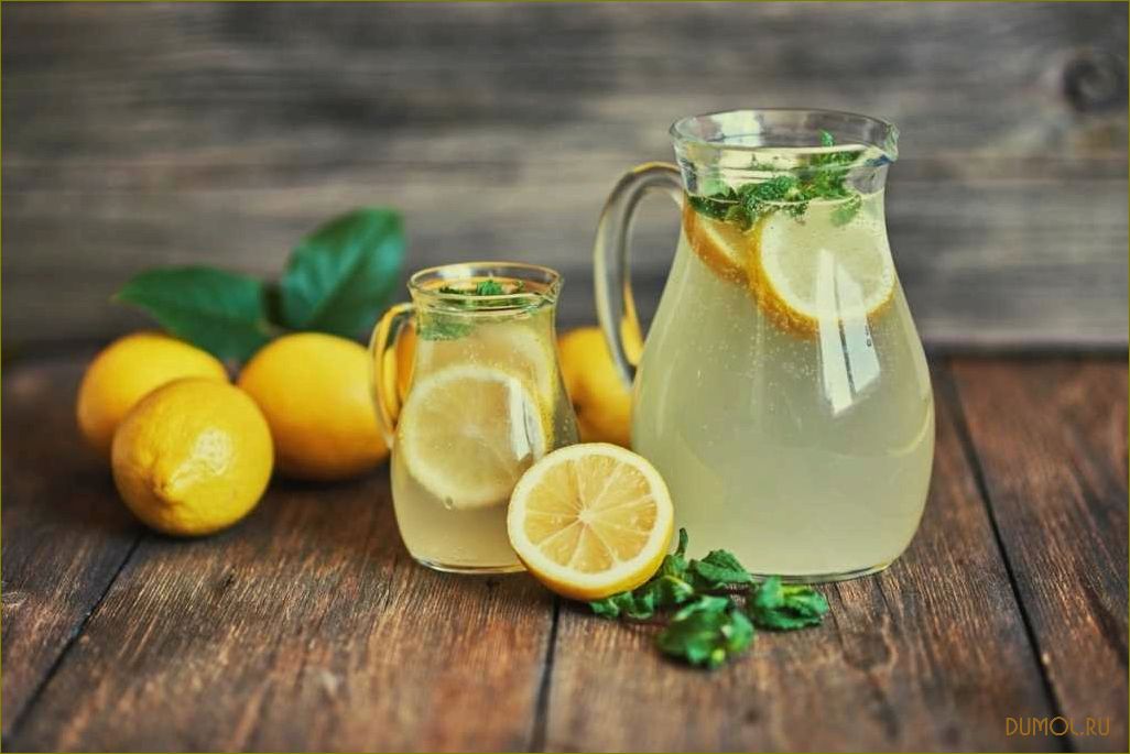Лимонад из лимона: рецепты и секреты приготовления
