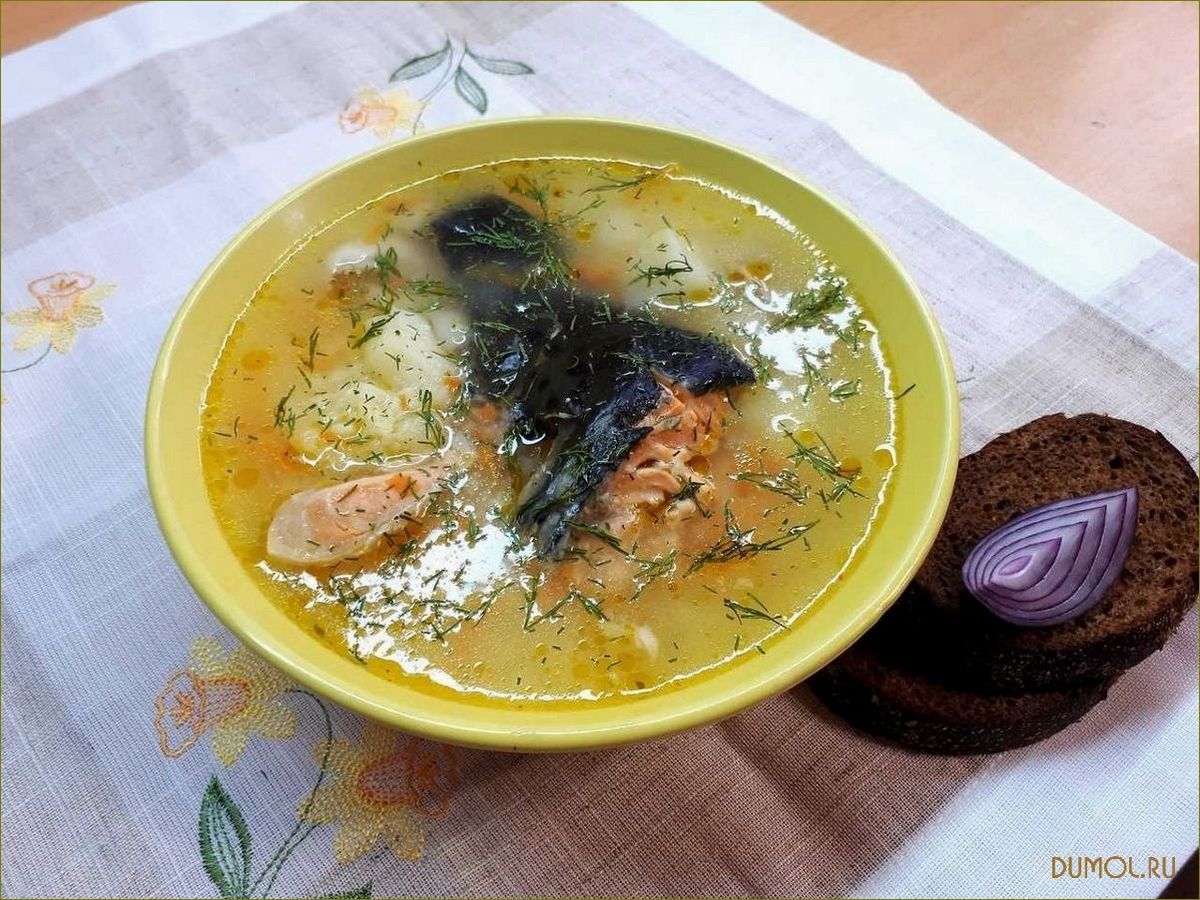 Суп из головы семги: рецепт приготовления и полезные свойства
