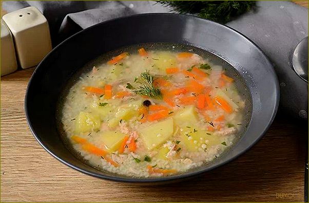 Суп из головы семги: рецепт приготовления и полезные свойства