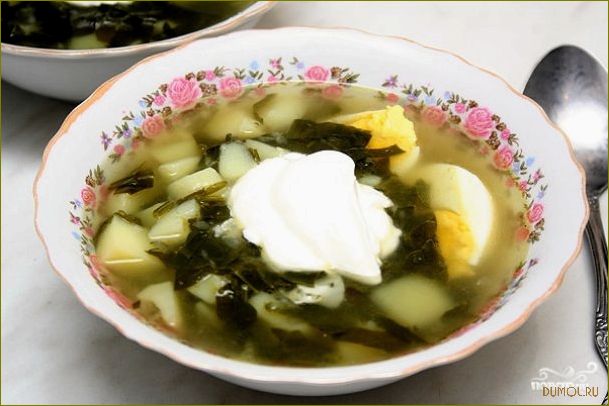 Суп из щавеля: вкусный и полезный рецепт