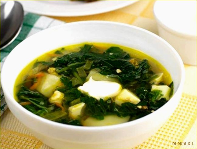 Суп из щавеля: вкусный и полезный рецепт