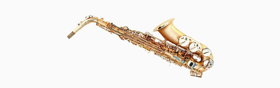 Какие бывают виды саксофонов