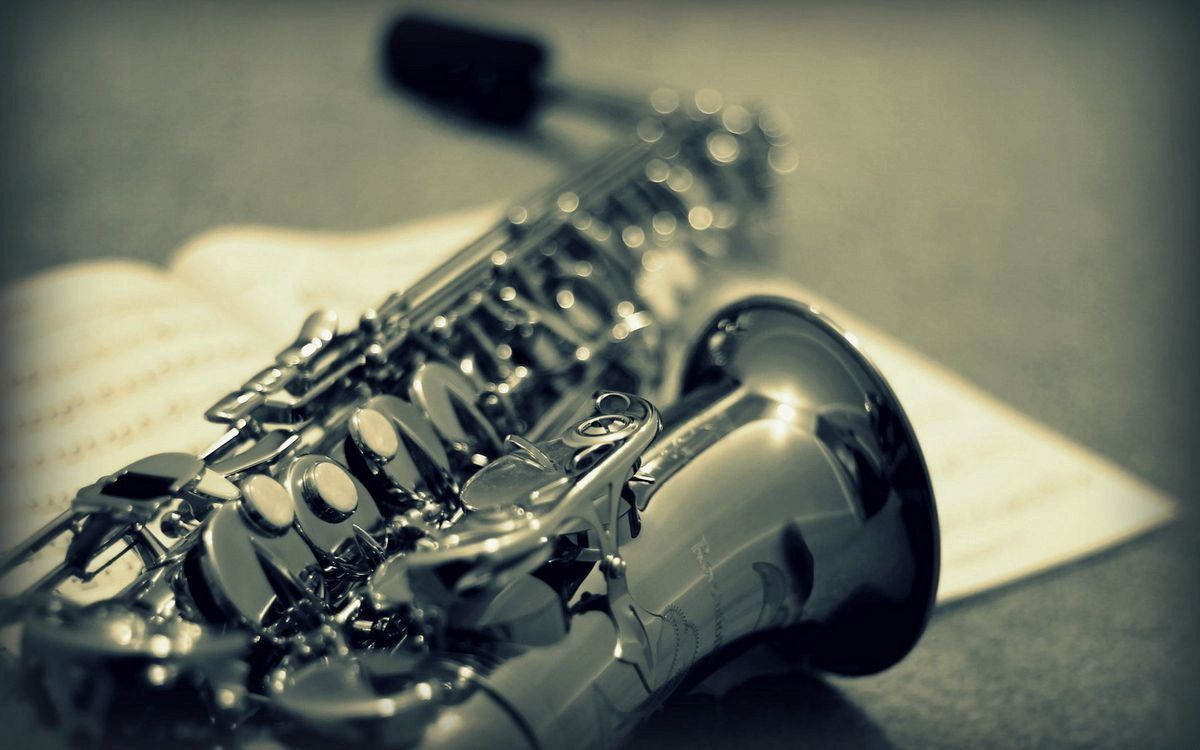 Какие бывают виды саксофонов