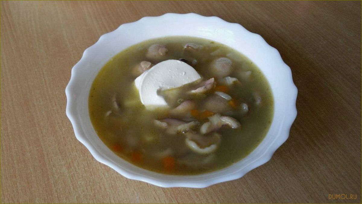 Грибной суп из маслят