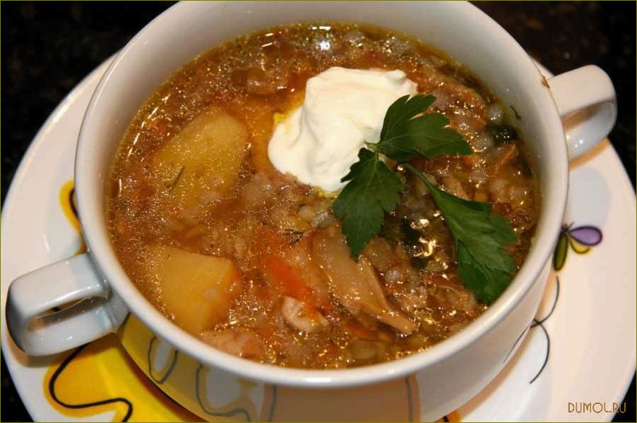 Рецепт супа из свежих груздей