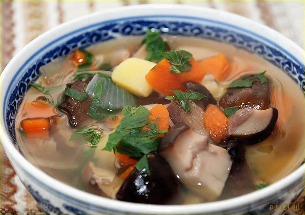 Суп из замороженных белых грибов: рецепты и советы приготовления