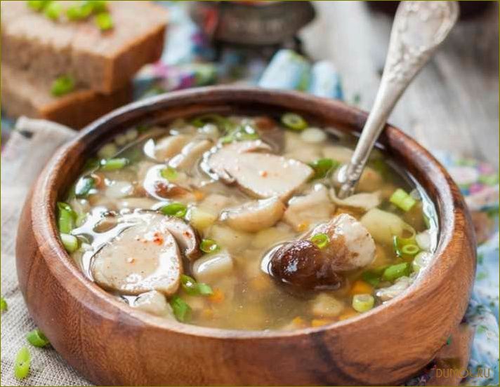 Суп из замороженных белых грибов: рецепты и советы приготовления