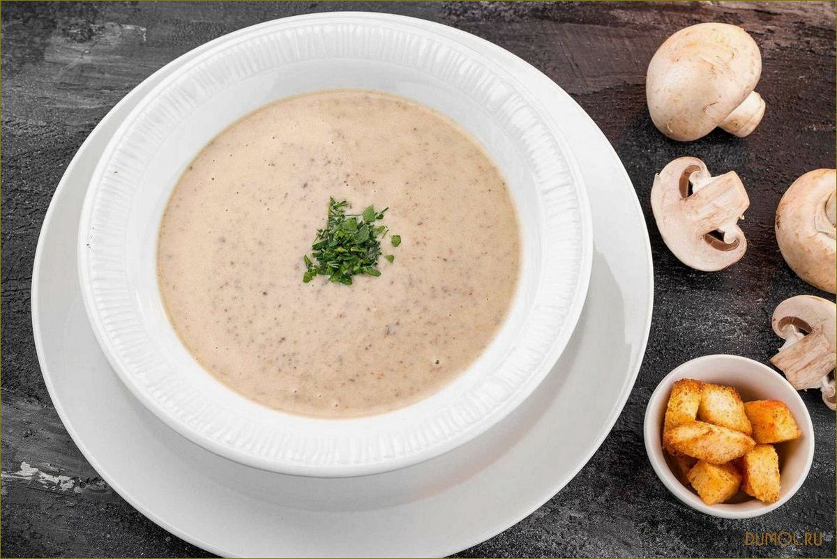 Грибной суп: рецепты приготовления и полезные свойства