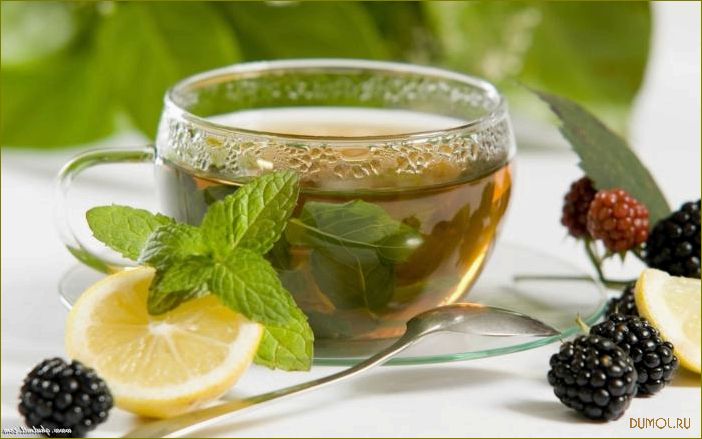 Зеленый чай с солью: польза и особенности приготовления