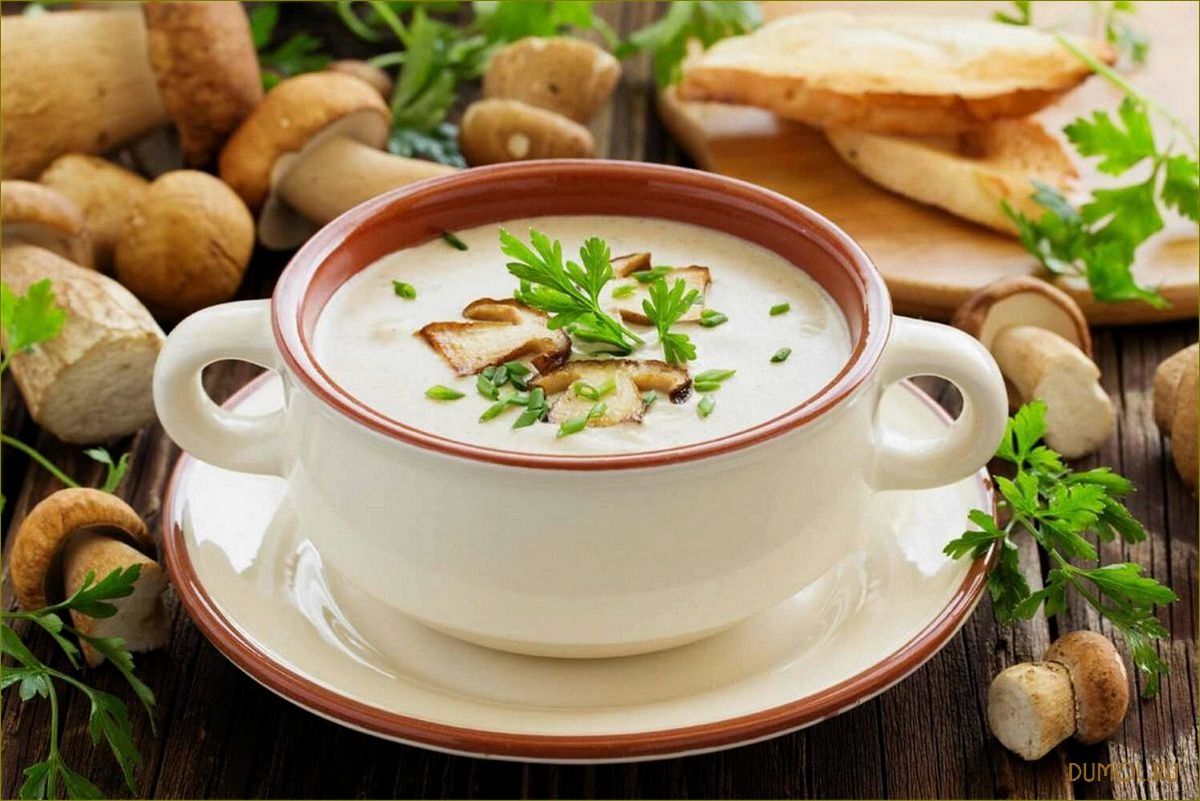 Грибной суп со сливками: рецепт и секреты приготовления