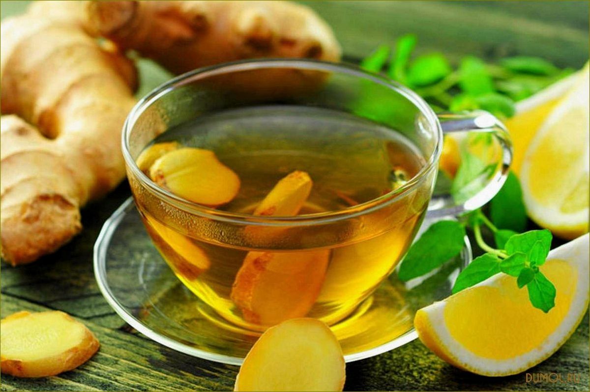 Зеленый чай с корнем имбиря: полезные свойства и рецепты приготовления