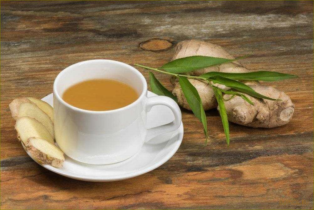 Зеленый чай с корнем имбиря: полезные свойства и рецепты приготовления