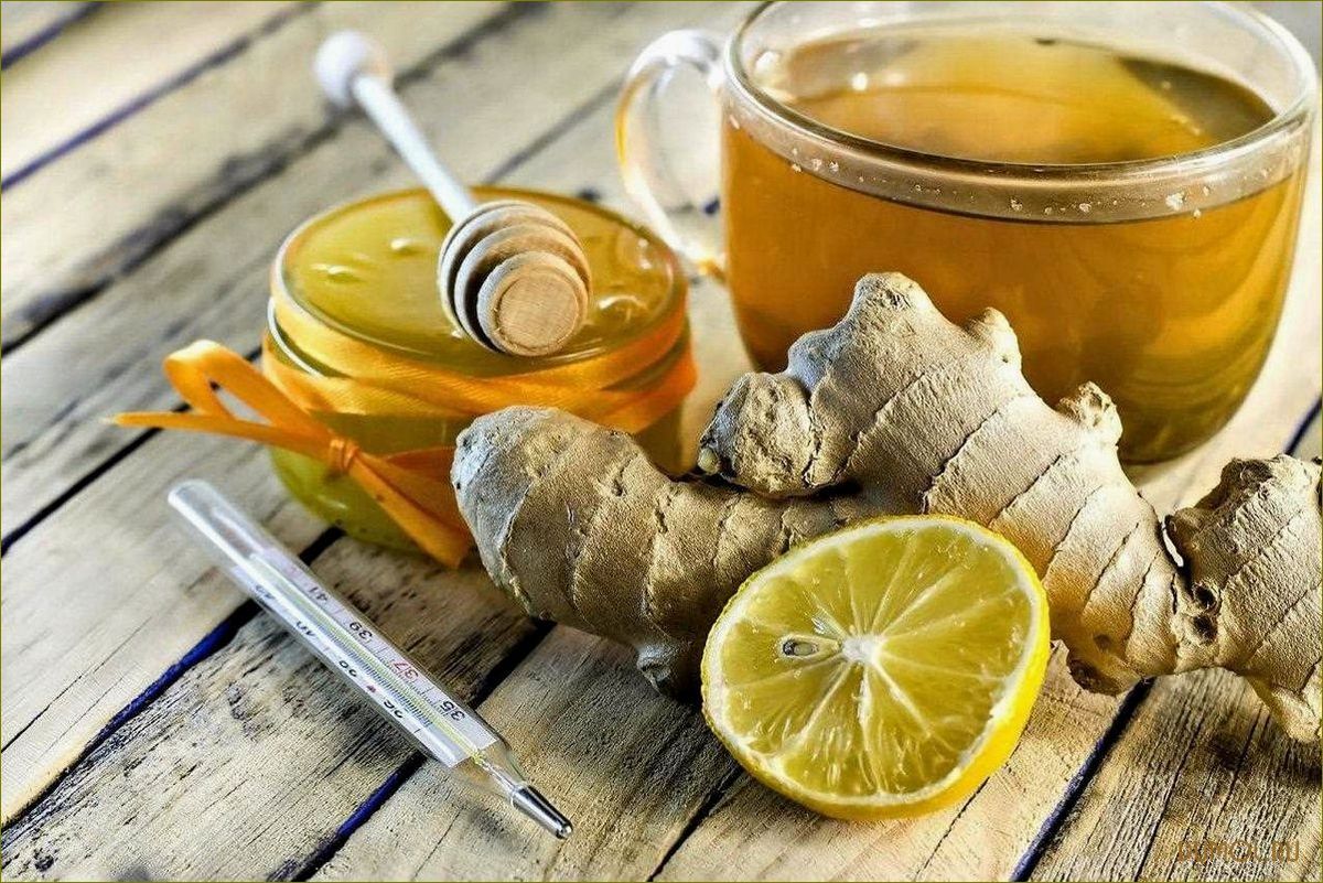 Как приготовить имбирный чай с медом и лимоном и узнать о его полезных свойствах