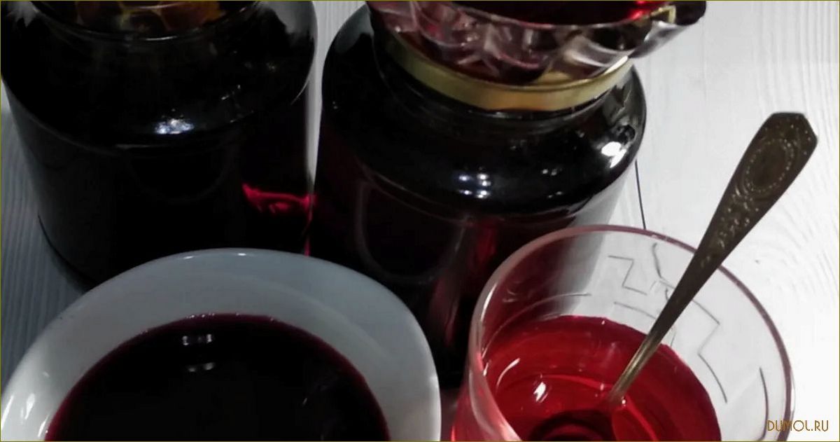 Сироп из черноплодной рябины: рецепты приготовления и полезные свойства