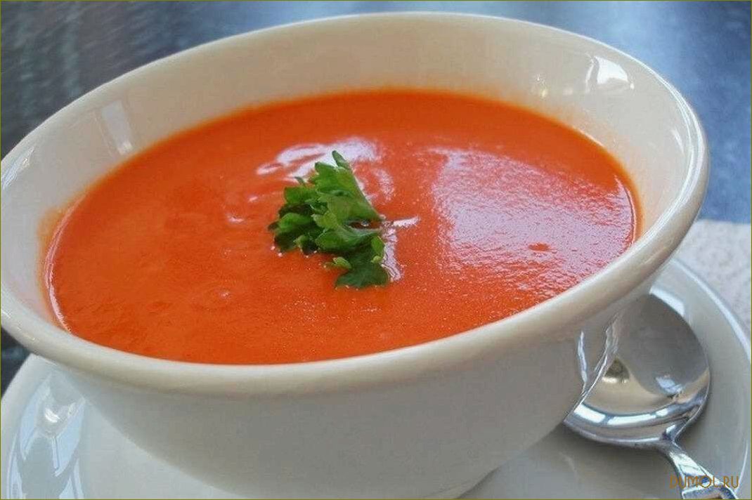 Жиросжигающий суп: рецепты и полезные свойства
