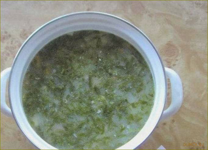Суп из консервированного щавеля