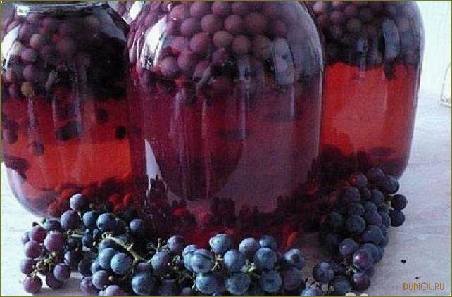 Как приготовить вкусный компот из черного винограда