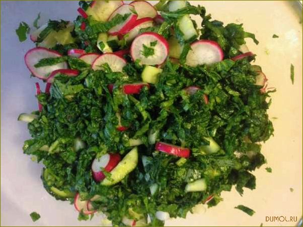 Салат из ботвы редиса: полезный и вкусный рецепт