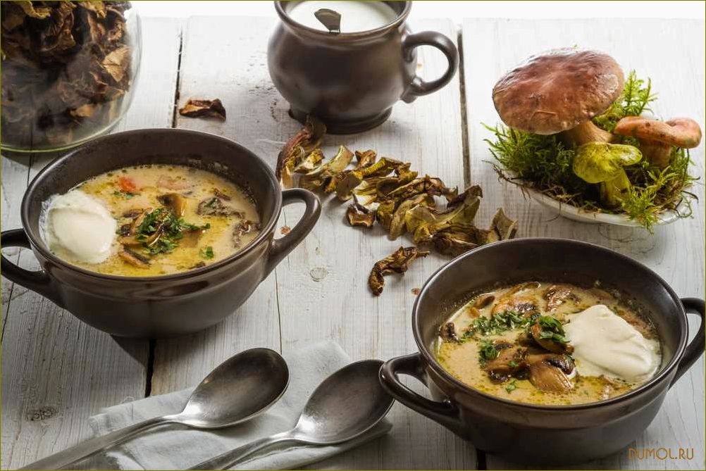 Рецепт супа из сушеных белых грибов