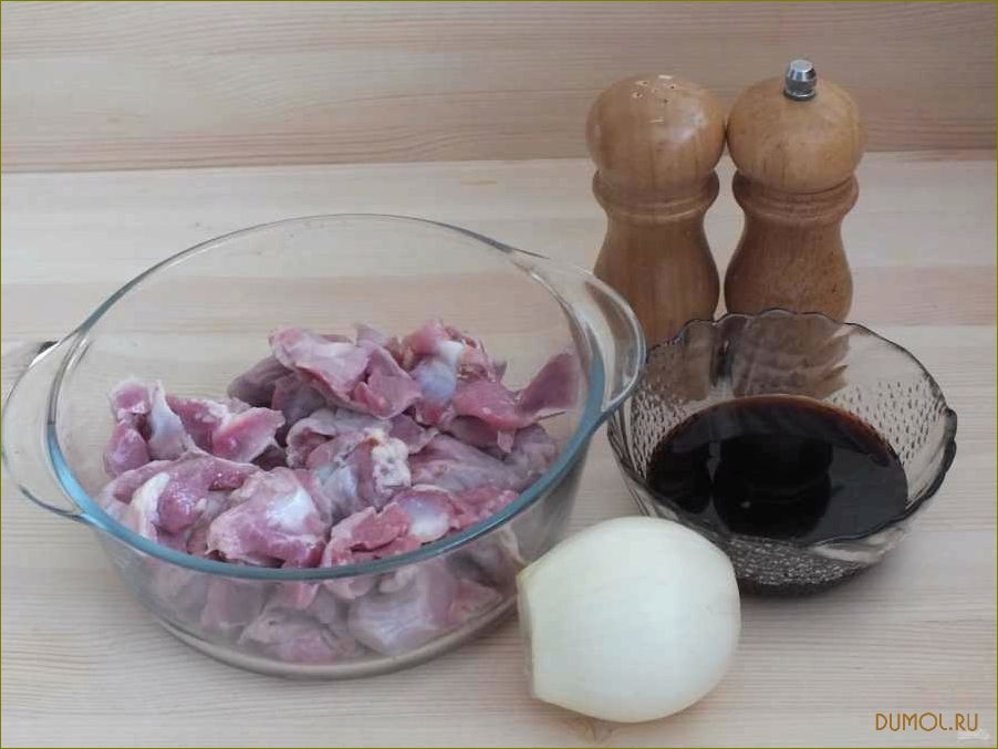 Куриный шашлык в уксусе: легкий рецепт и секреты приготовления