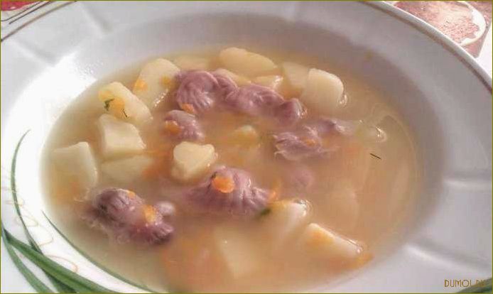 Рецепт супа из куриных желудков