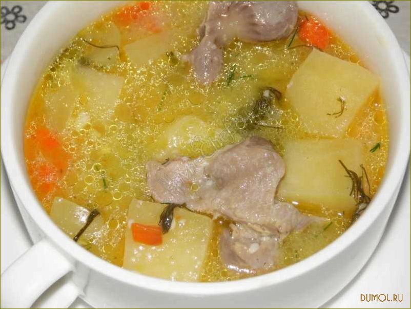 Рецепт супа из куриных желудков