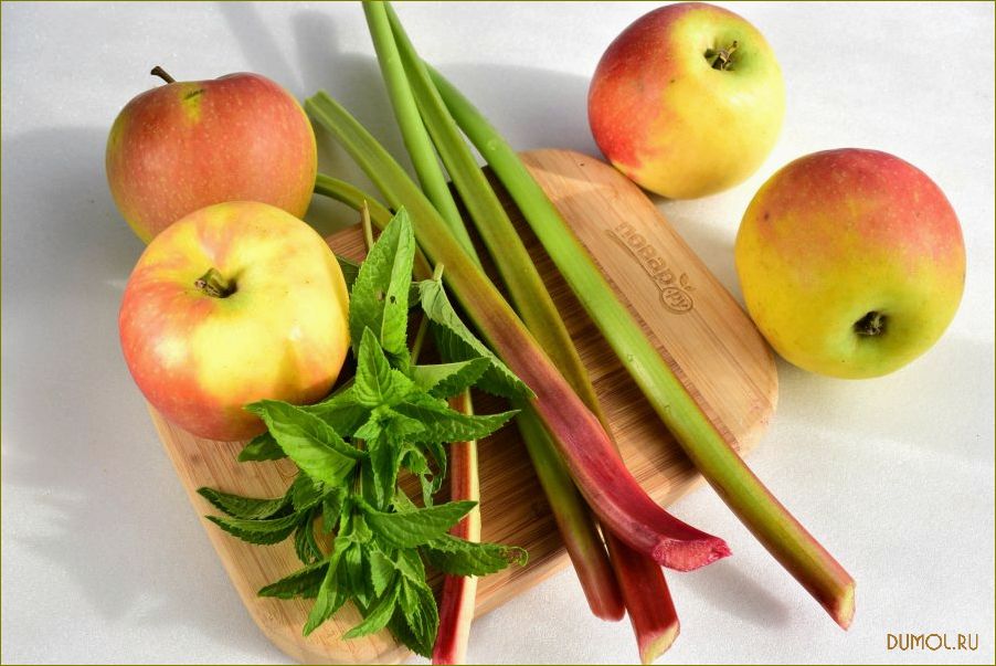 Компот с ревенем и яблоками: рецепт приготовления и полезные свойства