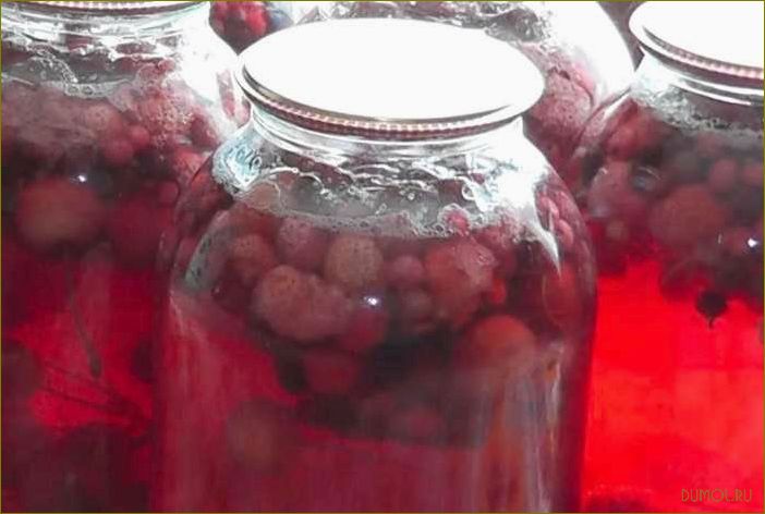 Как приготовить компот из вишни на зиму (3 литра)