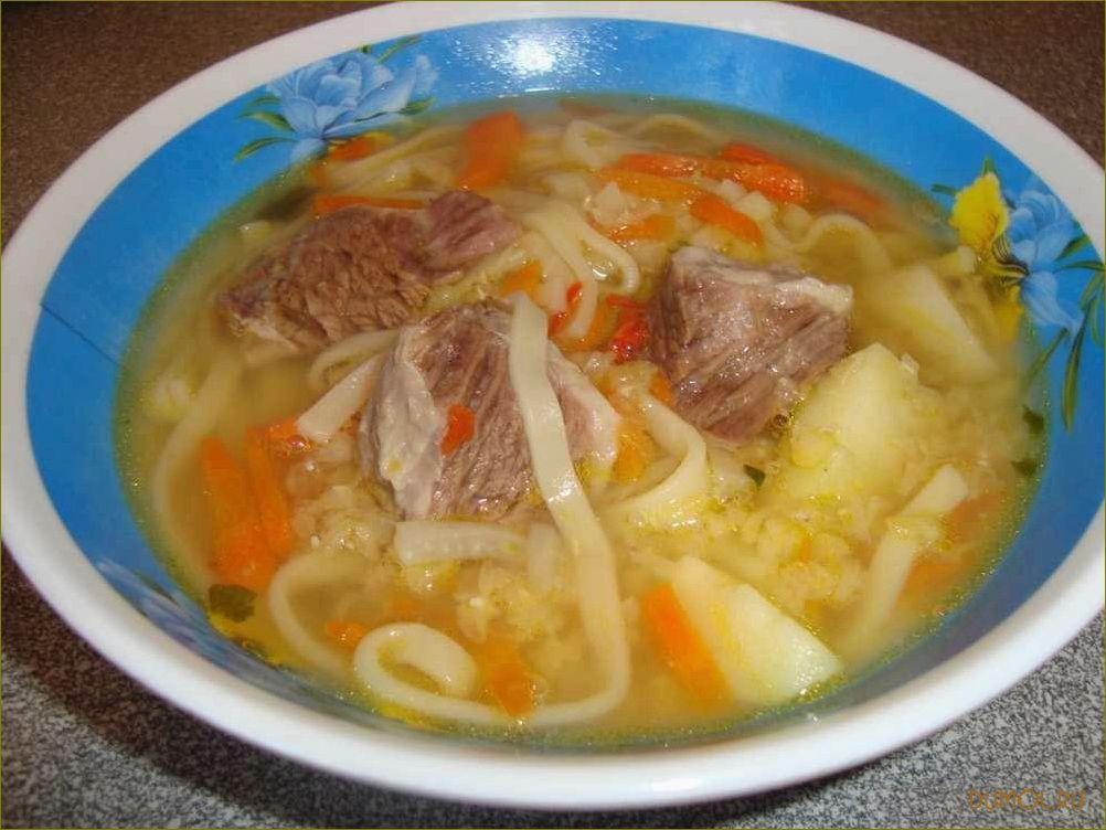 Рецепт супа из говядины