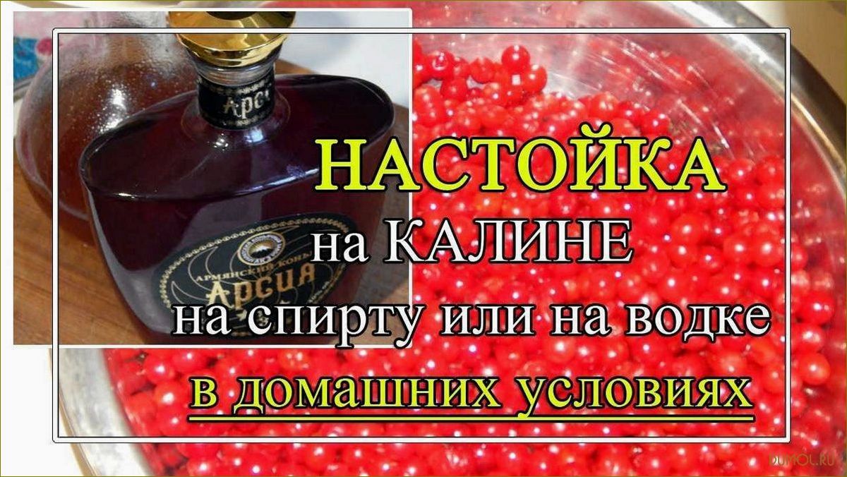 Настойка из калины: простой и полезный рецепт