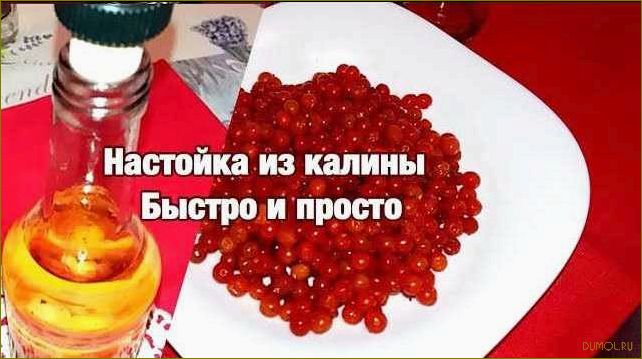 Настойка из калины: простой и полезный рецепт