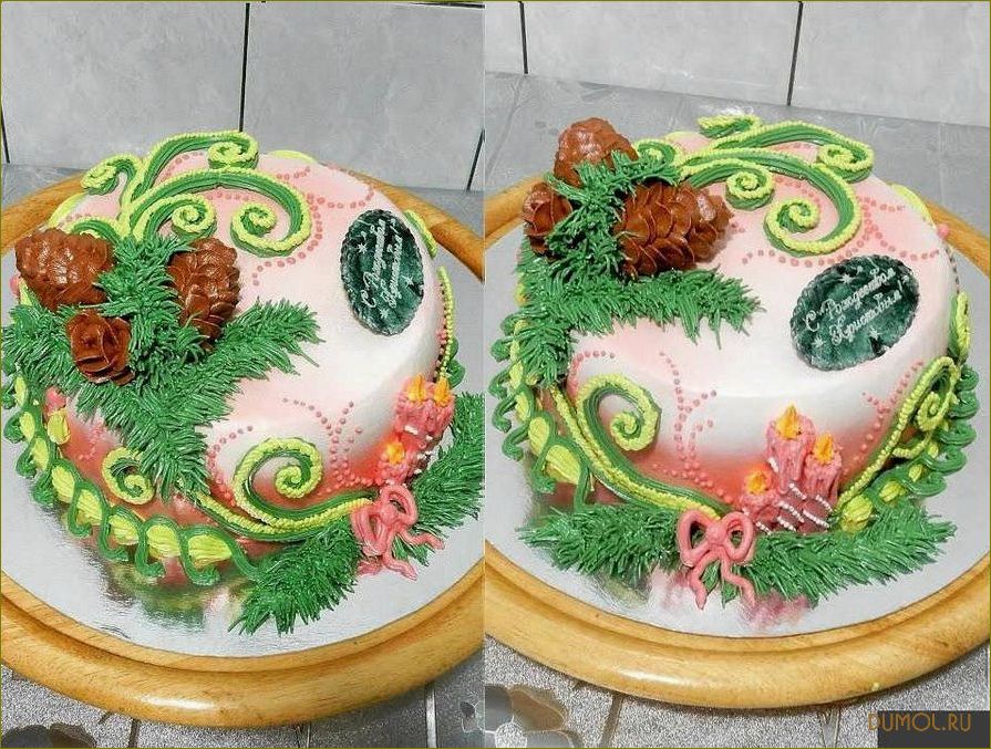 (торт, новый, кабана) Торт на Новый год Кабана