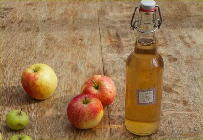 (приготовить, яблочное, вино, домашних, условиях) Как приготовить яблочное вино в домашних условиях