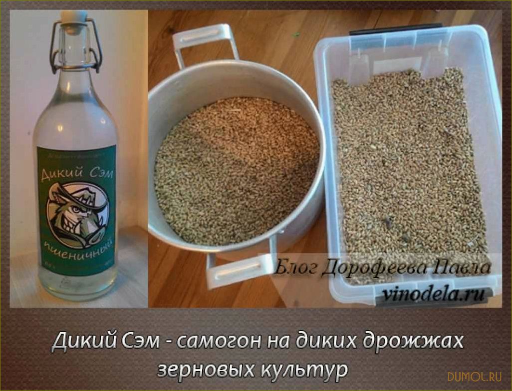 (приготовить, самогон, пшеницы, дрожжей) Как приготовить самогон из пшеницы без дрожжей