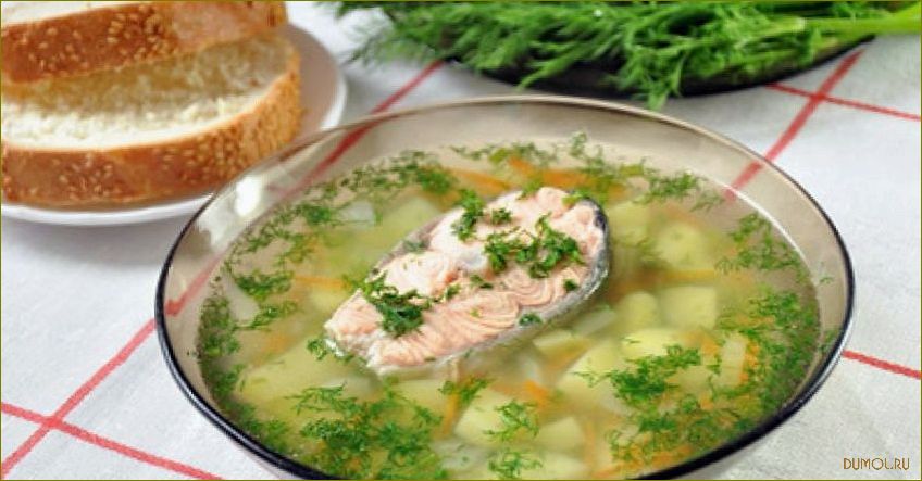 (форели, рецепт, приготовления, секреты, вкуса) Уха из форели: рецепт приготовления и секреты вкуса