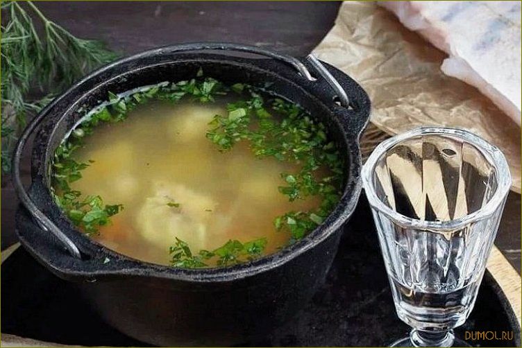 (форели, рецепт, приготовления, секреты, вкуса) Уха из форели: рецепт приготовления и секреты вкуса