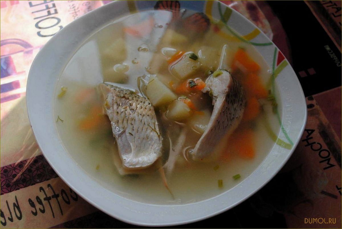 (морского, окуня) Уха из морского окуня