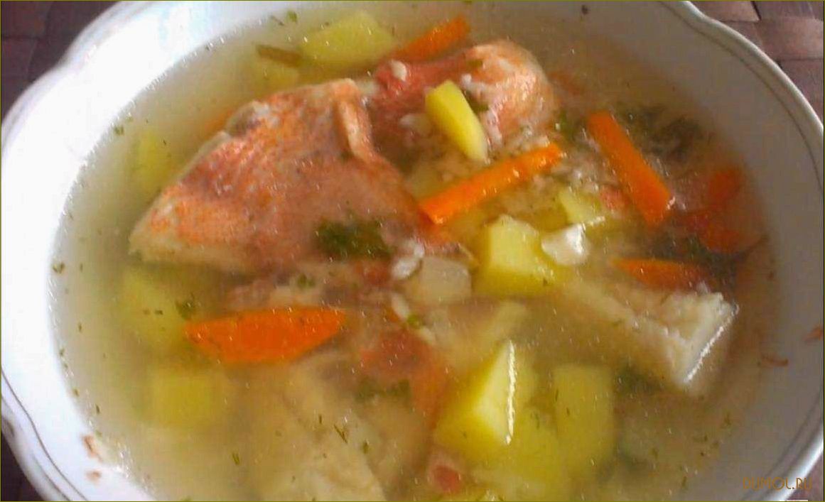 (морского, окуня) Уха из морского окуня
